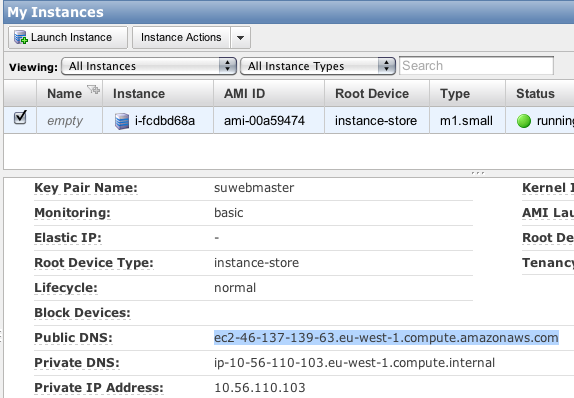 Screenshot of the public address to the Amazon EC2 instance